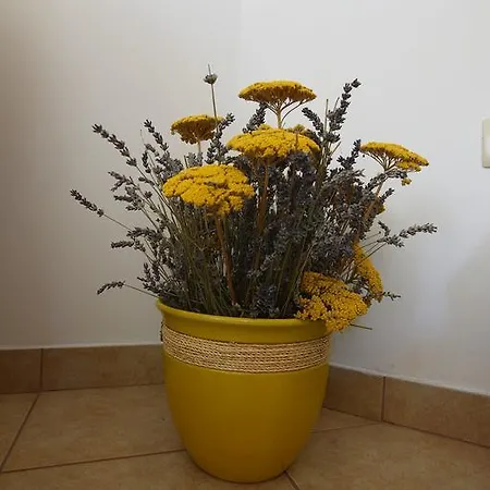 Lavanda Apartmán *