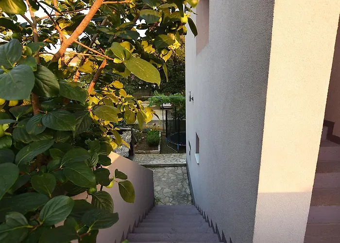 Apartament Lavanda *