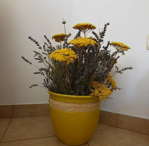 Lavanda Apartament *